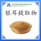 厂家现货 银耳提取物 银耳多糖30% 银耳粉 **从优 欢迎咨询